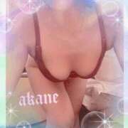 ヒメ日記 2026/03/12 09:05 投稿 あかね 奥様クラブ