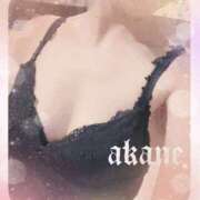 ヒメ日記 2026/03/12 23:55 投稿 あかね 奥様クラブ