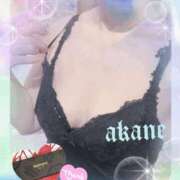 ヒメ日記 2026/03/15 23:50 投稿 あかね 奥様クラブ