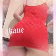 ヒメ日記 2026/03/19 09:05 投稿 あかね 奥様クラブ