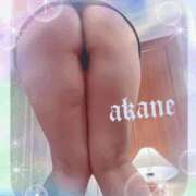 ヒメ日記 2026/03/26 18:55 投稿 あかね 奥様クラブ