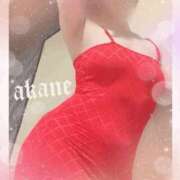 ヒメ日記 2026/03/27 16:05 投稿 あかね 奥様クラブ