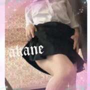 ヒメ日記 2026/03/28 09:05 投稿 あかね 奥様クラブ