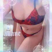 ヒメ日記 2026/03/28 15:10 投稿 あかね 奥様クラブ