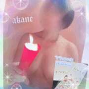 ヒメ日記 2026/03/29 19:55 投稿 あかね 奥様クラブ