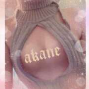 ヒメ日記 2026/03/31 19:35 投稿 あかね 奥様クラブ