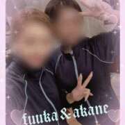 ヒメ日記 2026/04/01 22:35 投稿 あかね 奥様クラブ