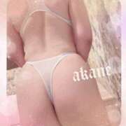 ヒメ日記 2026/04/03 09:05 投稿 あかね 奥様クラブ