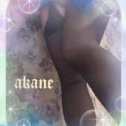 ヒメ日記 2026/04/03 17:05 投稿 あかね 奥様クラブ