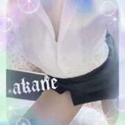 ヒメ日記 2026/04/05 09:05 投稿 あかね 奥様クラブ