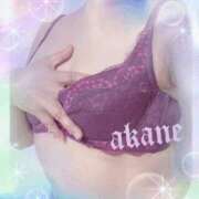 ヒメ日記 2026/04/05 10:55 投稿 あかね 奥様クラブ