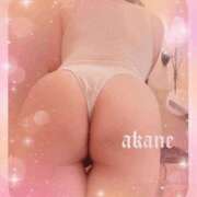 ヒメ日記 2026/04/10 09:05 投稿 あかね 奥様クラブ