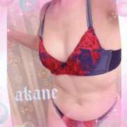 ヒメ日記 2026/04/13 09:05 投稿 あかね 奥様クラブ