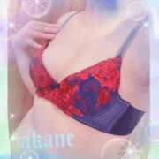 ヒメ日記 2026/04/14 07:30 投稿 あかね 奥様クラブ