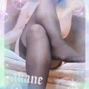 ヒメ日記 2026/04/15 00:00 投稿 あかね 奥様クラブ