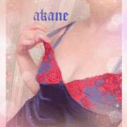 ヒメ日記 2026/04/18 09:05 投稿 あかね 奥様クラブ