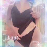 ヒメ日記 2026/04/19 09:05 投稿 あかね 奥様クラブ