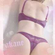 ヒメ日記 2026/04/19 18:55 投稿 あかね 奥様クラブ