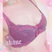 ヒメ日記 2026/04/20 09:05 投稿 あかね 奥様クラブ