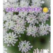 ヒメ日記 2026/09/19 06:25 投稿 あかね 奥様クラブ