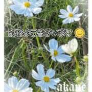 ヒメ日記 2026/10/13 06:25 投稿 あかね 奥様クラブ