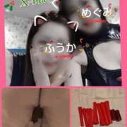 ヒメ日記 2024/12/24 14:15 投稿 めぐみ 奥様クラブ