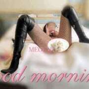 ヒメ日記 2025/03/21 11:10 投稿 めぐみ 奥様クラブ