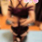 ヒメ日記 2025/04/26 15:55 投稿 めぐみ 奥様クラブ