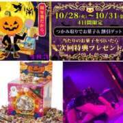 ヒメ日記 2025/10/28 12:20 投稿 めぐみ 奥様クラブ