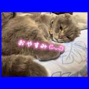 ヒメ日記 2025/01/14 23:39 投稿 りょう 人妻の秘密成田店