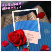 ヒメ日記 2025/02/12 08:15 投稿 りょう 人妻の秘密成田店