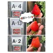 ヒメ日記 2025/02/25 20:36 投稿 りょう 人妻の秘密成田店