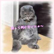 ヒメ日記 2025/03/12 18:12 投稿 りょう 人妻の秘密成田店