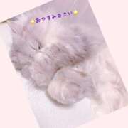 ヒメ日記 2025/03/31 23:57 投稿 りょう 人妻の秘密成田店