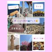 ヒメ日記 2025/04/01 20:39 投稿 りょう 人妻の秘密成田店