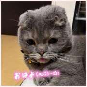 ヒメ日記 2025/04/18 07:42 投稿 りょう 人妻の秘密成田店