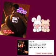 ヒメ日記 2025/05/24 22:41 投稿 りょう 人妻の秘密成田店