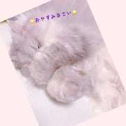 ヒメ日記 2025/06/10 23:30 投稿 りょう 人妻の秘密成田店