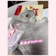 ヒメ日記 2025/08/29 08:17 投稿 りょう 人妻の秘密成田店