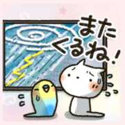 ヒメ日記 2025/09/05 07:36 投稿 りょう 人妻の秘密成田店