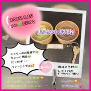 ヒメ日記 2025/09/15 19:15 投稿 りょう 人妻の秘密成田店