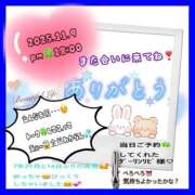 ヒメ日記 2025/11/10 14:31 投稿 りょう 人妻の秘密成田店
