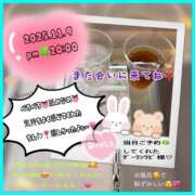 ヒメ日記 2025/11/10 14:50 投稿 りょう 人妻の秘密成田店