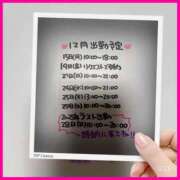 ヒメ日記 2025/12/09 07:10 投稿 りょう 人妻の秘密成田店