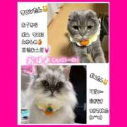 ヒメ日記 2025/12/23 08:26 投稿 りょう 人妻の秘密成田店