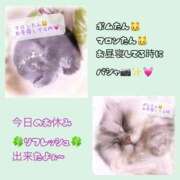 ヒメ日記 2026/04/08 19:34 投稿 りょう 人妻の秘密成田店