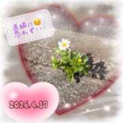 ヒメ日記 2026/04/17 09:04 投稿 りょう 人妻の秘密成田店