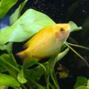 ヒメ日記 2025/03/14 11:44 投稿 こより 奥様の実話 なんば店