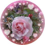 ヒメ日記 2025/03/23 09:10 投稿 こより 奥様の実話 なんば店