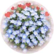 ヒメ日記 2025/05/23 07:47 投稿 こより 奥様の実話 なんば店